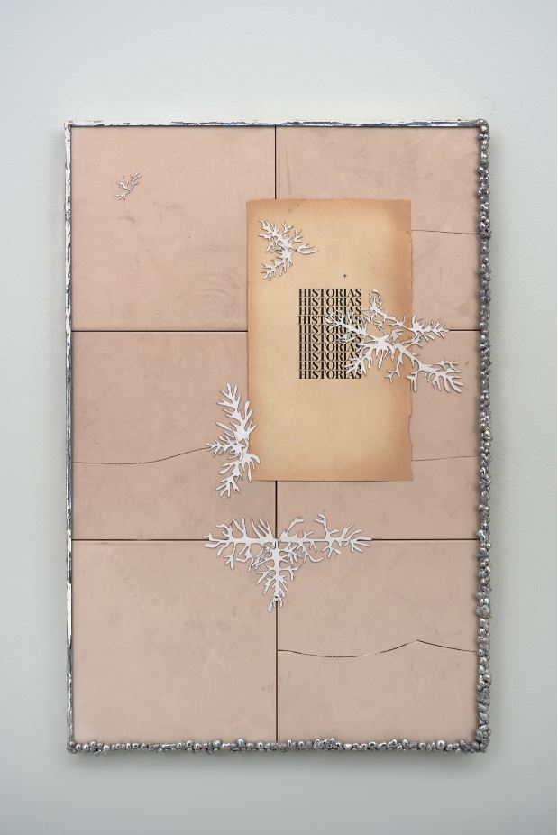 José Montealegre, WilfordX, Wilford X