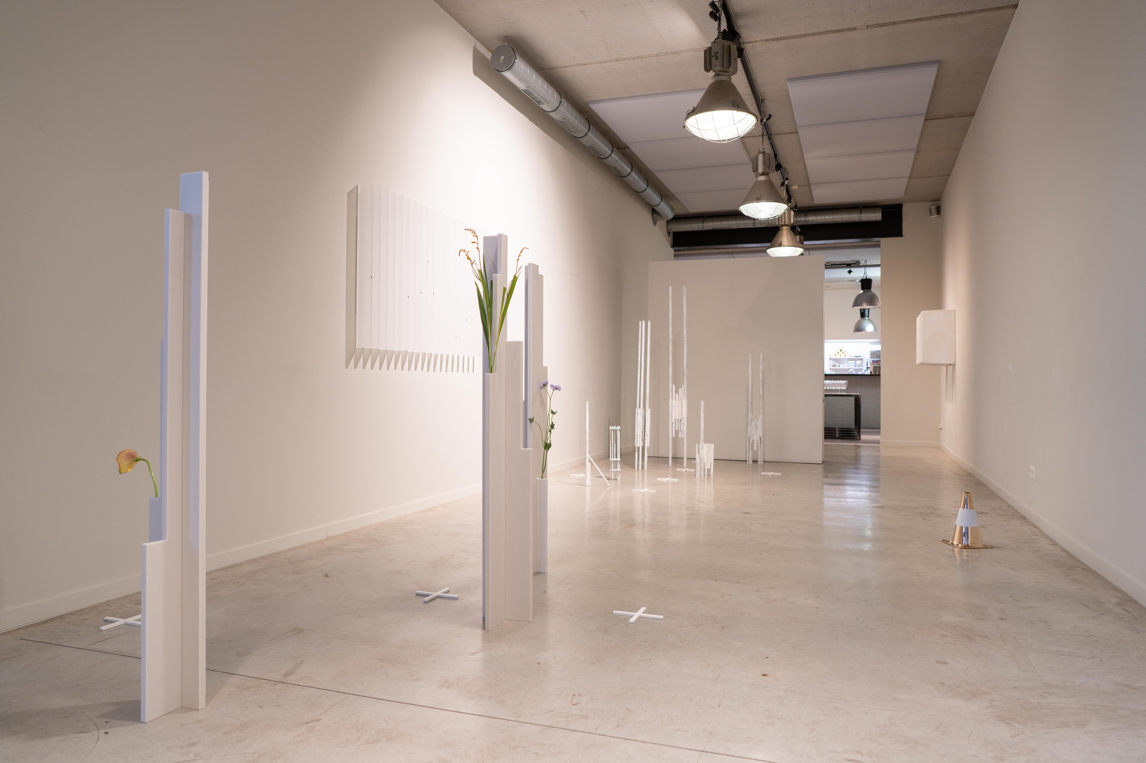 WilfordX, wilford X, 360° kunst, 360 kunst,