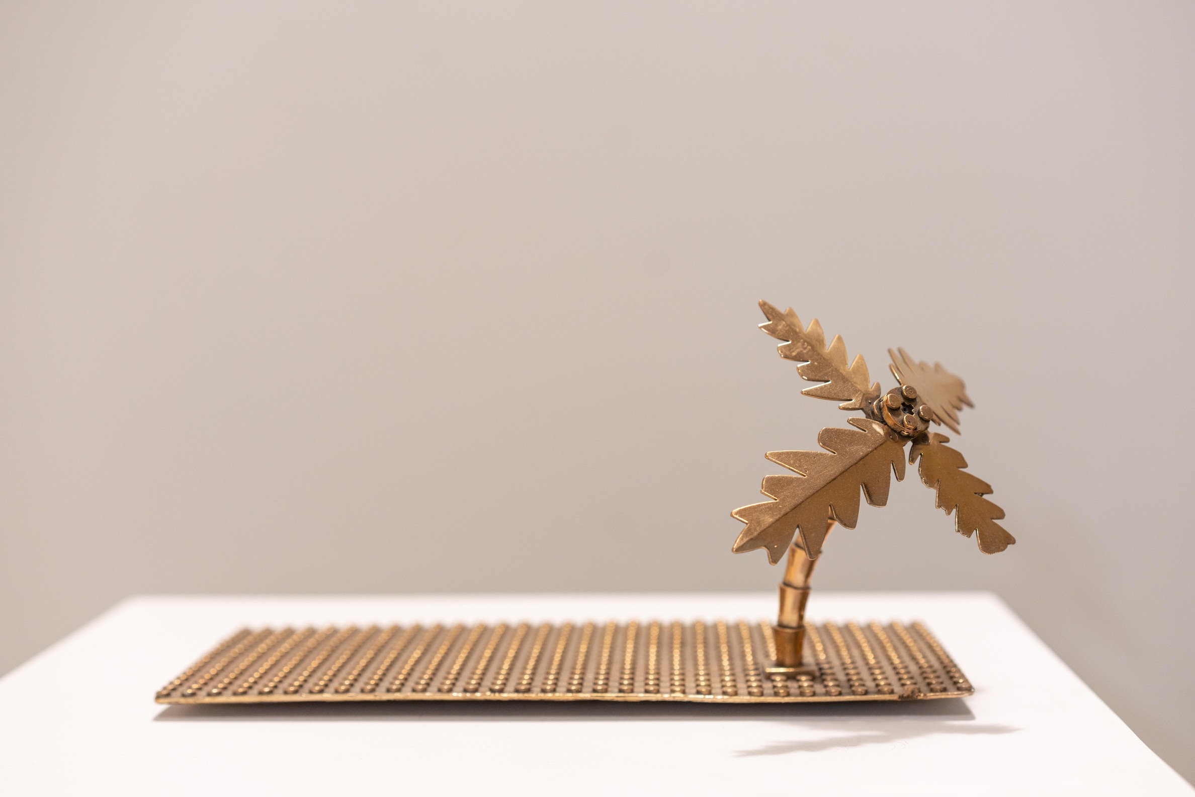 WilfordX, wilford X, 360° kunst, 360 kunst,