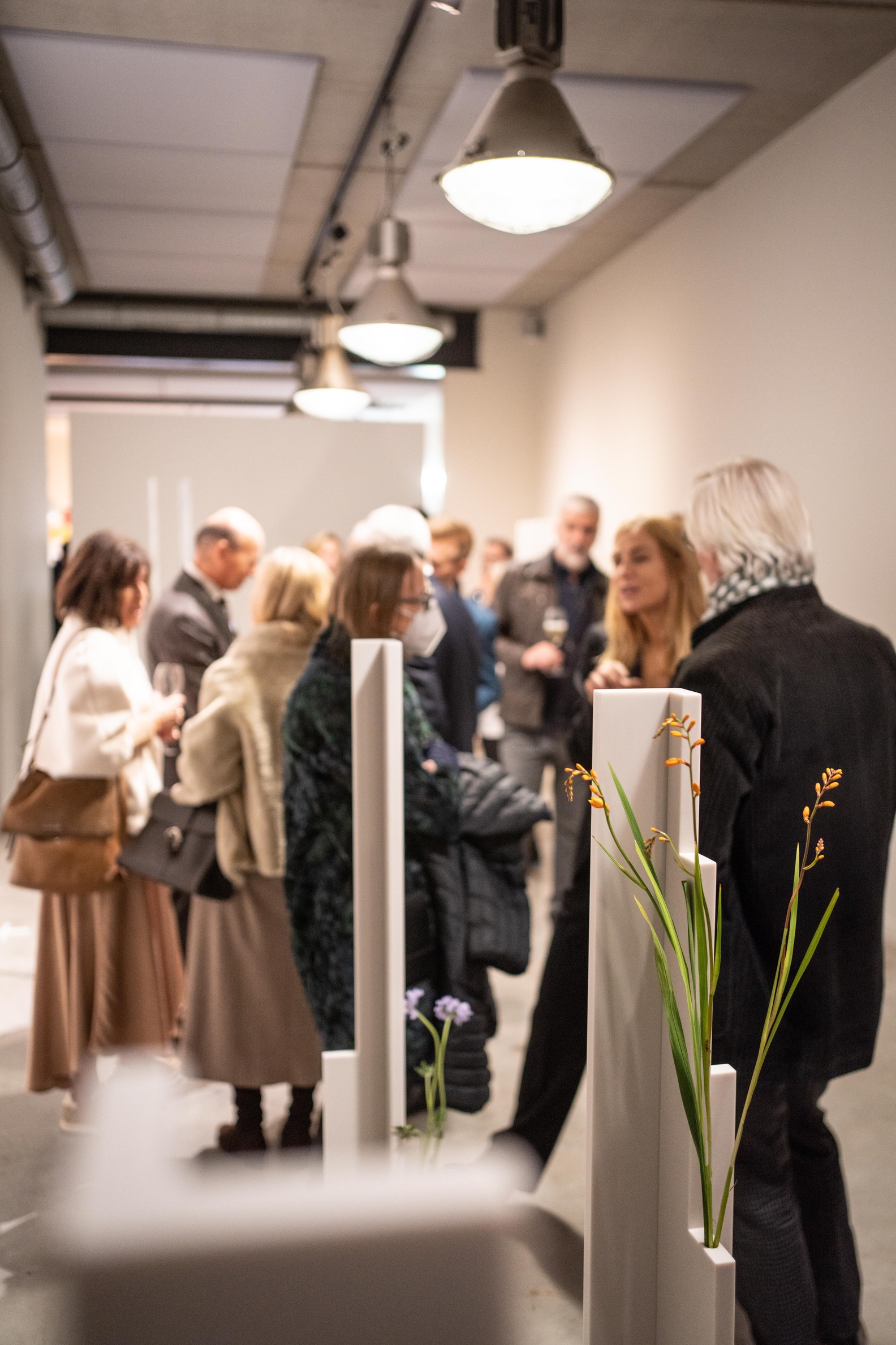 WilfordX, wilford X, 360° kunst, 360 kunst,