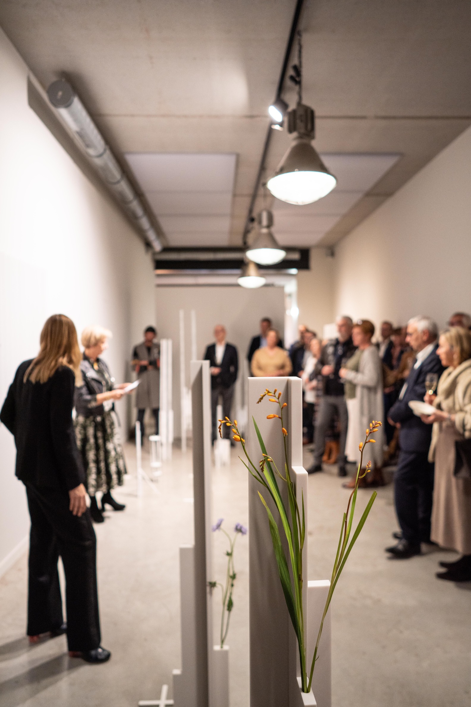 WilfordX, wilford X, 360° kunst, 360 kunst,