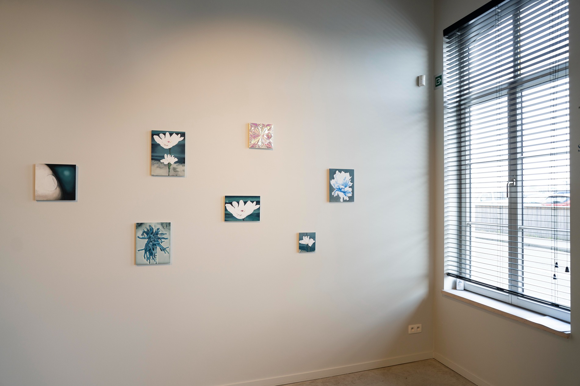 kunstgallerij, wilford X, temse, oost-vlaanderen