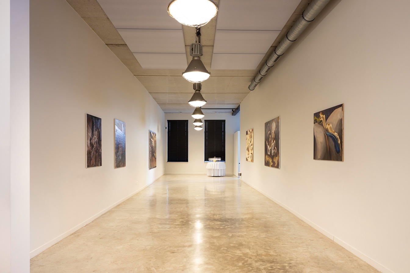 kunstgallerij, wilford X, temse, oost-vlaanderen