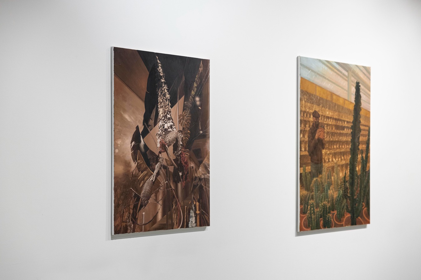 kunstgallerij, wilford X, temse, oost-vlaanderen
