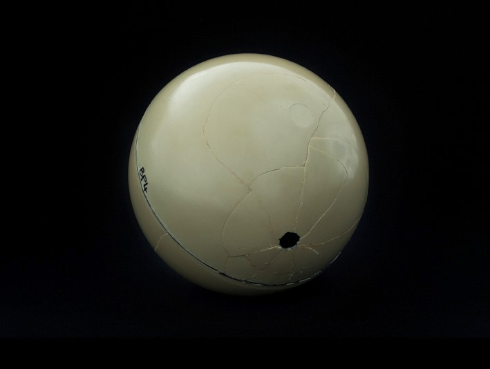 Wilford X, Vorige projecten, Denkbeeldige grenzen, 2017, Fototentoonstelling