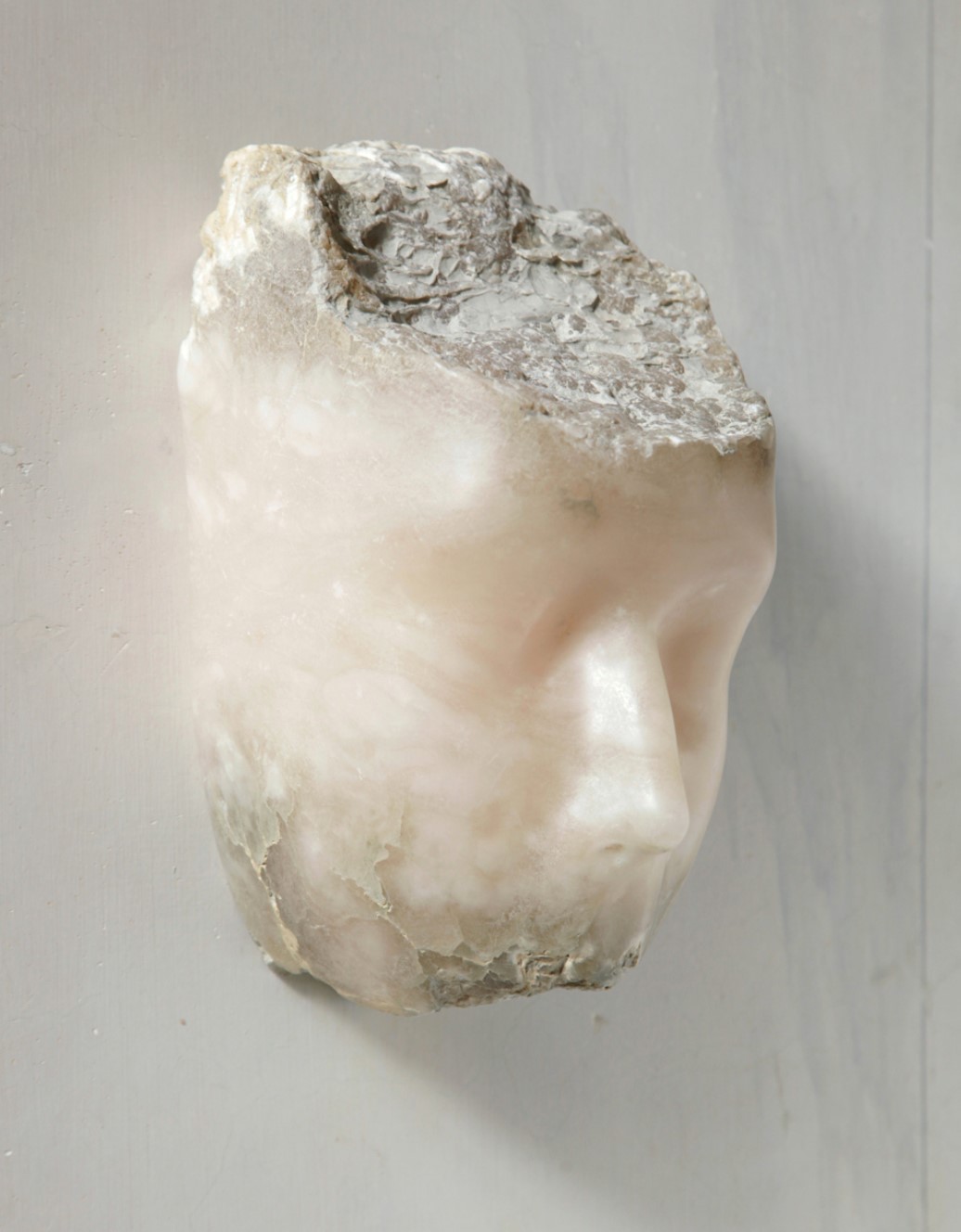 Wilford X, Sofie Muller