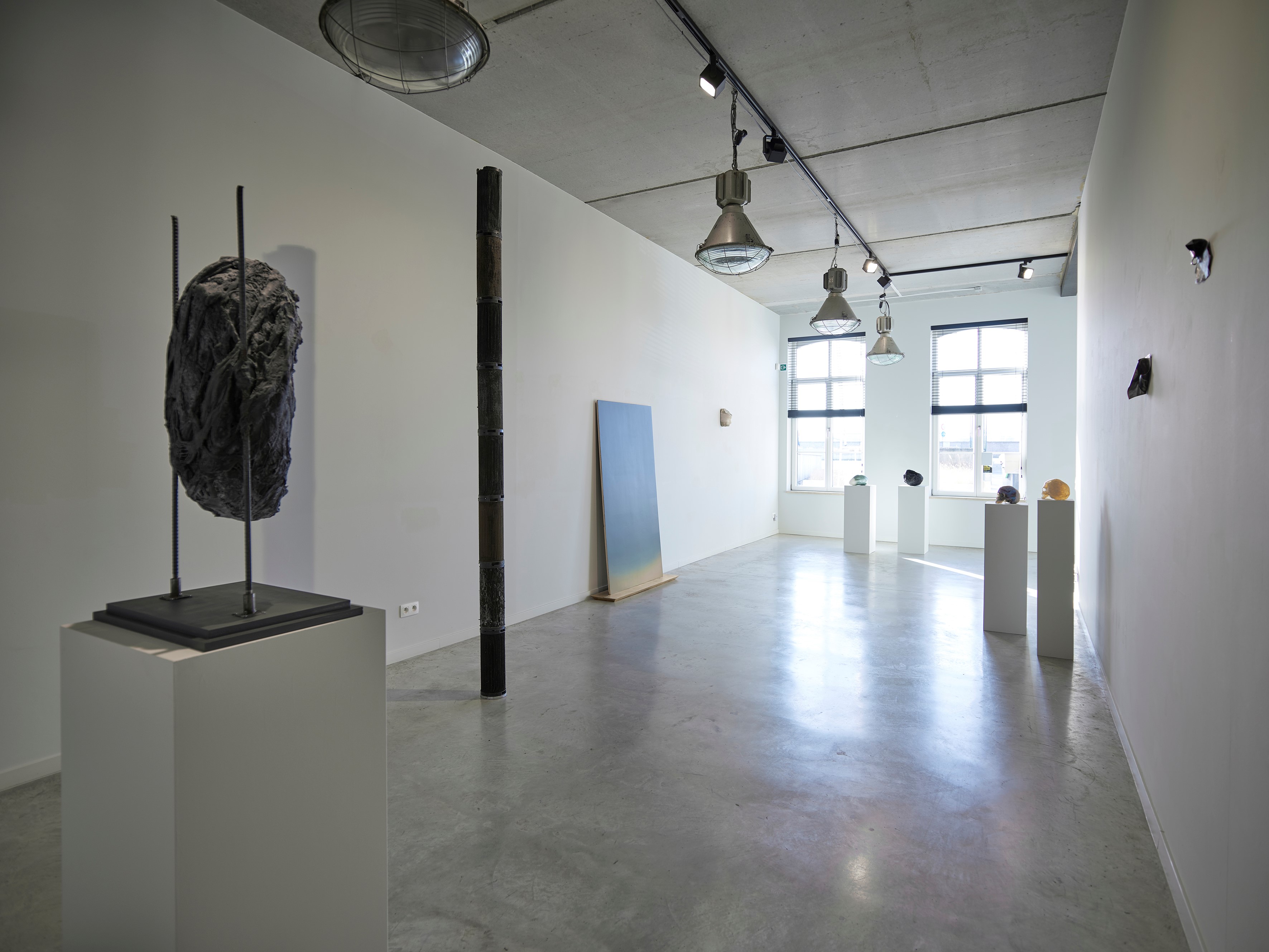 WilfordX, omwenteling,