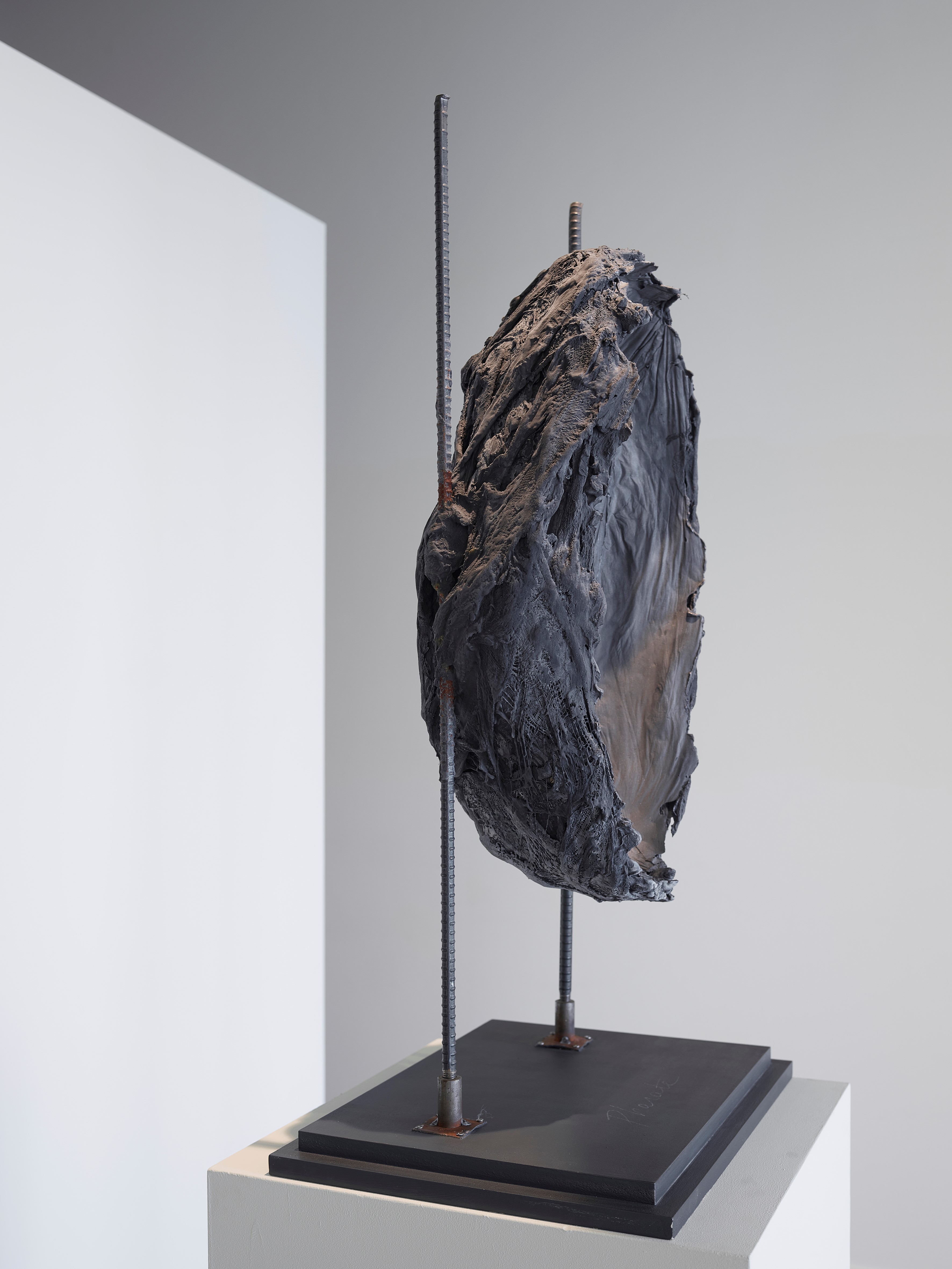 WilfordX, omwenteling,