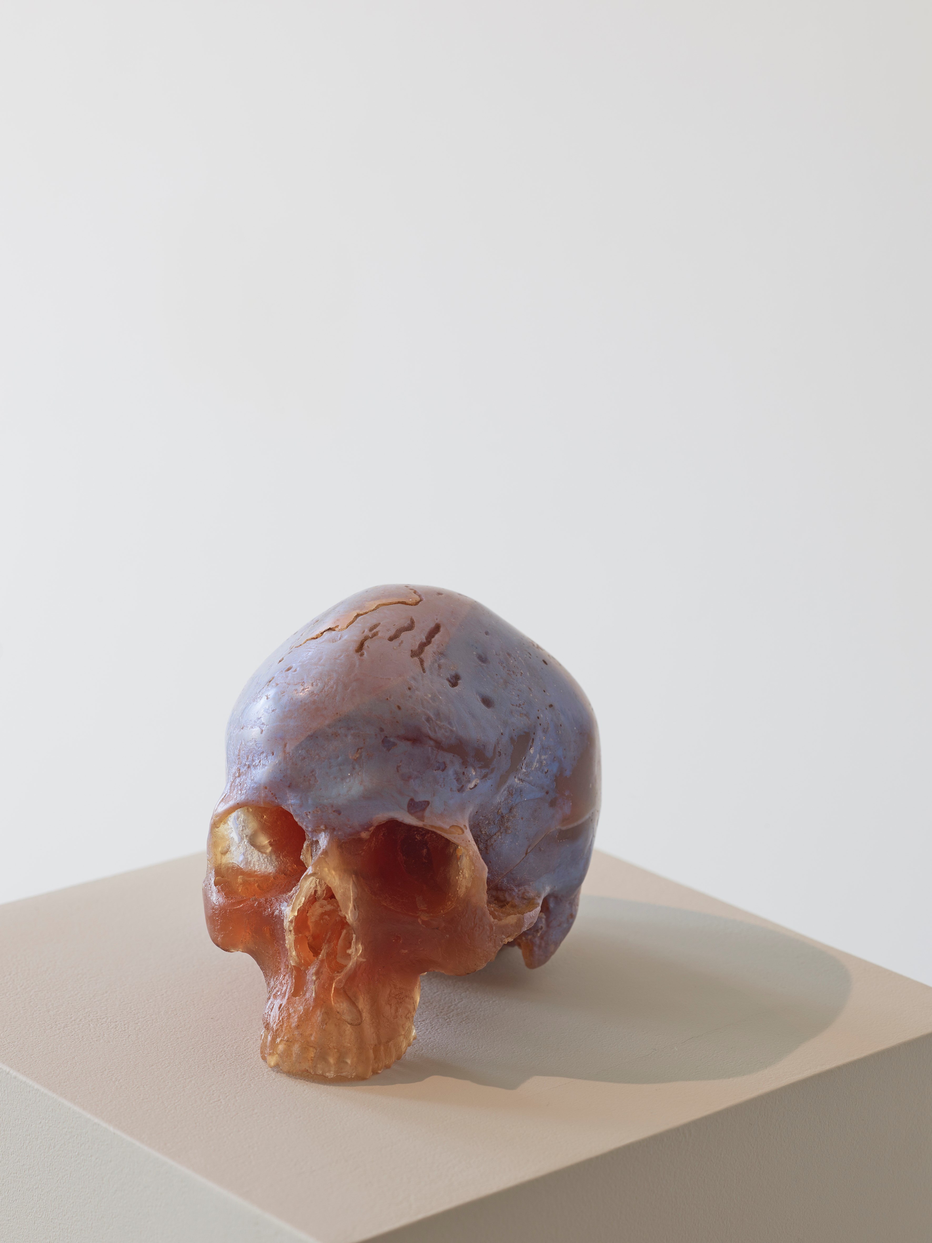 WilfordX, omwenteling,