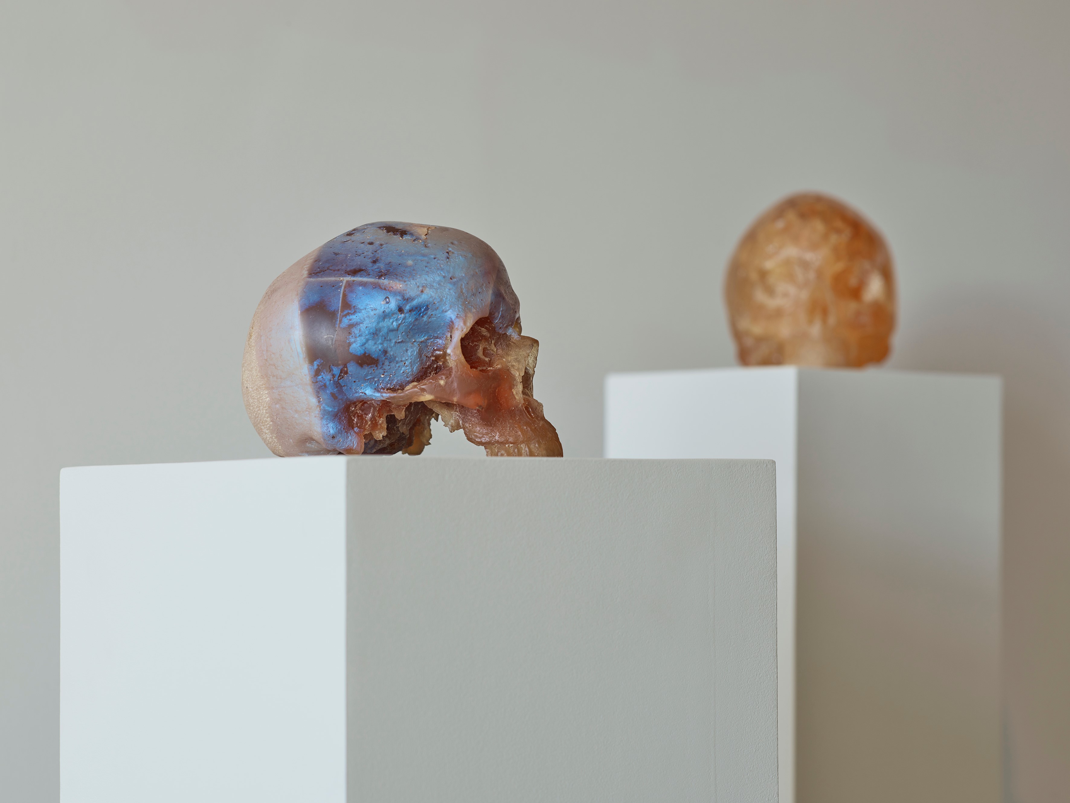 WilfordX, omwenteling,